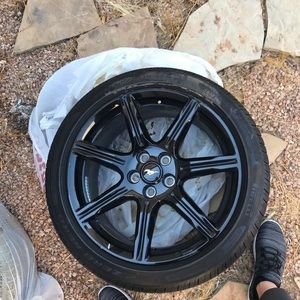 Mustang wheels